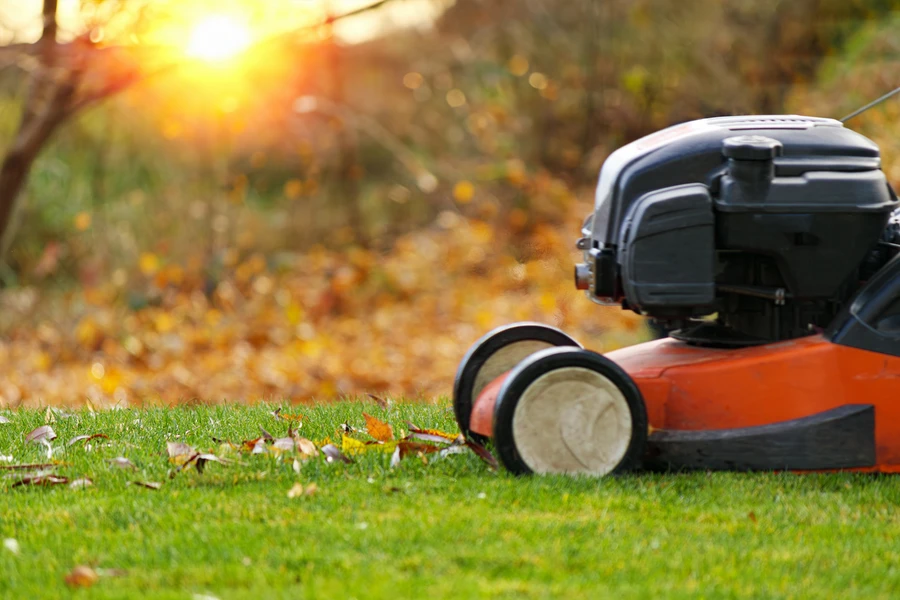 Simple Lawn Care Steps To Avoid Damage To Painted Surfaces Middle River MD