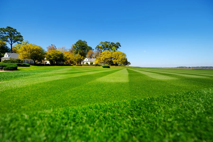 Why Lawn Care Plays A Key Role In Outdoor Painting Preparations Middle River MD