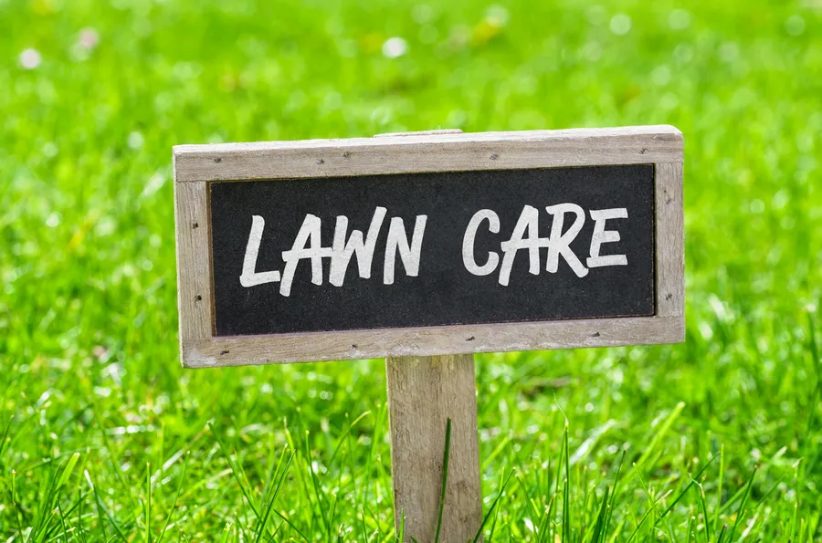 Why Lawn Care Plays A Key Role In Outdoor Painting Preparations in Middle River MD